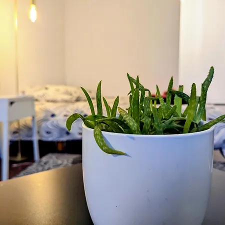 Chez Les P'tits Loups 公寓 斯特拉斯堡