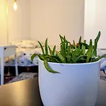 Chez Les P'tits Loups Lägenhet Strasbourg